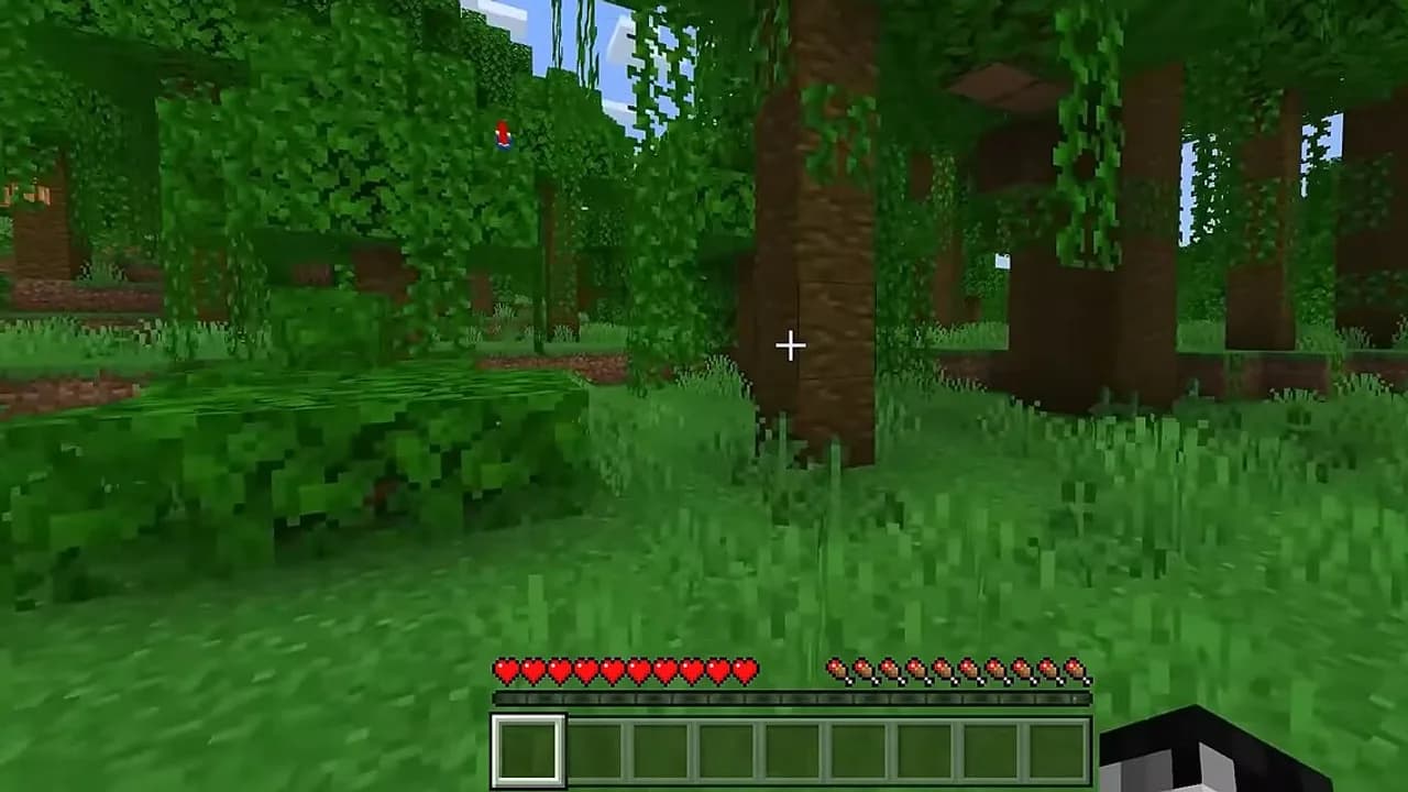 Representative Minecraft jungle biome; this is not the exact seed