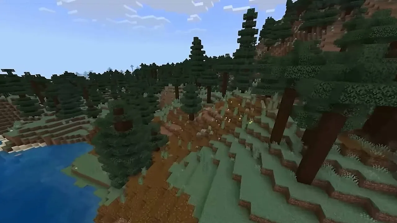 Representative Minecraft taiga biome; this is not the exact seed